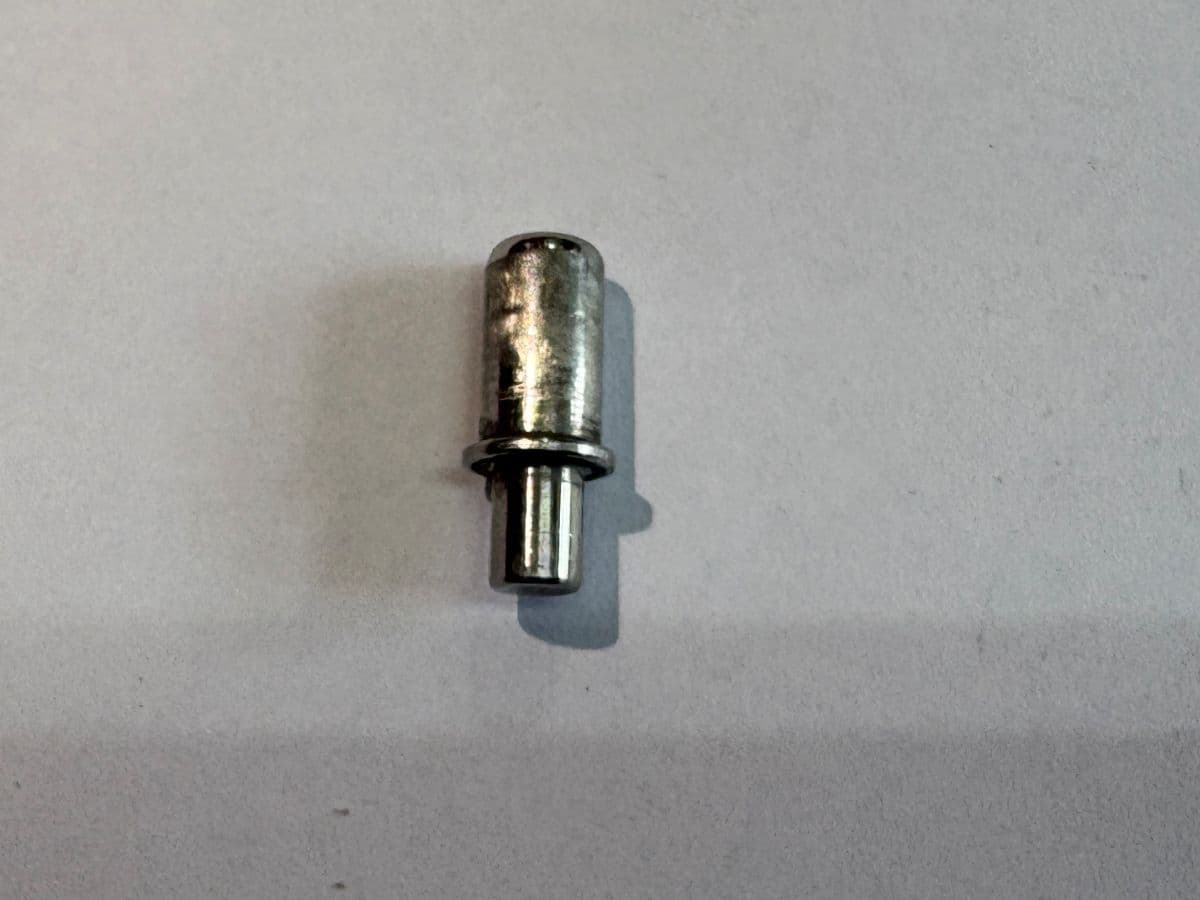 平頂頂珠 圖片 1